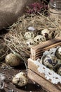 Cute still life with quail eggs. Easter still life