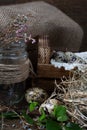 Cute still life with quail eggs. Quail eggs in the nest and on the old wooden table in the barn among vintage items and dried Royalty Free Stock Photo