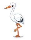 Cute stork stands on one leg on a white background. Vector illustration with a bird