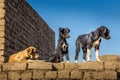 Cute stray dog puppies on a wall in the Edfu temple, Egypt Royalty Free Stock Photo
