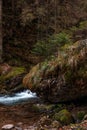 Cute stream in a dark dense forest with small waterfalls among stones