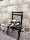 Cute street cats sitting on an old chair Royalty Free Stock Photo