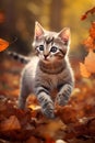 Cute baby stripey tabby kitten in a bright autumn fall landscape with golden leaves