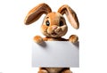 cute stuffed bunny holding a empty sign