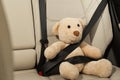 Cute stuffed toy bear buckled of car