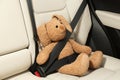 Cute stuffed toy rabbit buckled in backseat