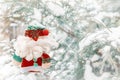 Cute stuffed toy santa claus on the background of snow-covered branches of the christmas tree. Santa Claus doll. copy space Royalty Free Stock Photo