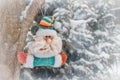 Cute stuffed toy santa claus on the background of snow-covered branches of the christmas tree. Santa Claus doll. copy space Royalty Free Stock Photo