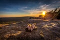 Cute stuffed toy zebra resting in the golden rays of sunset