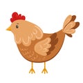 Cute stylized chicken in flat style isolated on white background. Vector drawing of a farm chicken. Chicken, farm Royalty Free Stock Photo