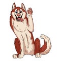 Cute suberian husky waving paw. Illustration of a dog in lineart style. Malamute or Laika Dog. Domestic animal or pet in cartoon