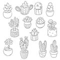 Cute Succulents Graphic and Vector Outline