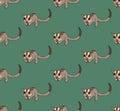 Cute Sugar Glider on Green Background. Vector Illustration.