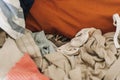 Cute Sugar Glider hiding in the pile of clothes and looking up cautiously.