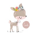 Cute summer deer