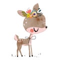 Cute summer deer