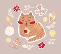 Cute summer sticker, cat eats ice cream.