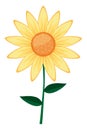 Cute sunflower cartoon