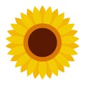 Cute sunflower flower icon in a flat style on a white background Royalty Free Stock Photo