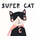 Cute super hero cat Royalty Free Stock Photo