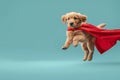 Cute superhero puppy flying in costume on blue background, funny dog with superpowers