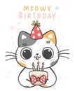 Cute surprise calico kitten cat party, meowy birthday cheerful pet animal cartoon doodle character drawing