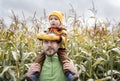 Cute surprised child in colorful sweater sitting on his father shoulders with ripe corn cob on yellow autumn corn field. Fall
