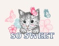 Cute sweet cat kitten head with flower, butterfly, so sweet slogan. Royalty Free Stock Photo