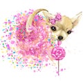 Cute sweet dog T-shirt graphics. Funny dog illustration with splash watercolor textured background. Royalty Free Stock Photo