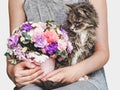 Cute, sweet kitten, bright bouquet and woman