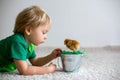 Cute sweet little blond child, toddler boy, playing with little chicks at home, baby chicks in child Royalty Free Stock Photo