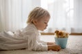 Cute sweet little blond child, toddler boy, playing with little chicks at home, baby chicks in child Royalty Free Stock Photo