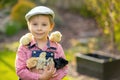 Cute sweet little blond child, toddler boy, playing with little chicks in the park, baby chicks and kid Royalty Free Stock Photo