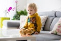 Cute sweet little blond child, toddler boy, playing with little chicks at home, baby chicks in child Royalty Free Stock Photo