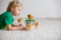 Cute sweet little blond child, toddler boy, playing with little chicks at home, baby chicks in child Royalty Free Stock Photo