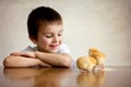 Cute sweet little child, preschool boy, playing with little chic Royalty Free Stock Photo