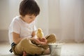 Cute sweet little child, preschool boy, playing with little chic Royalty Free Stock Photo