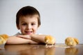 Cute sweet little child, preschool boy, playing with little chic Royalty Free Stock Photo