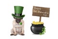 Cute sweet pug puppy dog with st. patrick`s day hat and pipe sitting next to pot with gold, wooden sign and shamrock