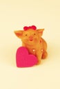 Cute and sweet pig looking at the viewer with a large heart