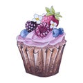 Muffin blueberry. Strawberry. illustration. Watercolor. Food sketching. Desert.