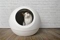 Cute tabby cat sitting in a self cleaning litter box and looking curious to the camera.