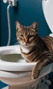 cute tabby cat sitting on toilet bowl