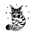 Cute tabby cat vector icon. Nice fluffy kitten sits and smiles. Pet in a collar with a bow. Attractive domestic animal