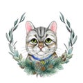 Cute tabby cat with winter floral wreath decor. Watercolor illustration. Hand painted funny kitty with winter season Royalty Free Stock Photo