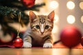 Cute tabby kitten playing Christmas tree ornament, Christmas and cat concept background. Generative AI Royalty Free Stock Photo