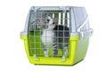 Cute tabby kitten in a transport box