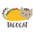 Cute Taco Cat Vector Illustration