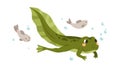 Cute tadpole swimming in water. Little baby frog floating. Green amphibian, adorable froggy animal. Happy smiling larval