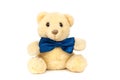 Cute teddy bear with blue bow tie sitting at white wall